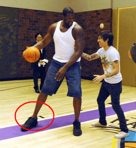 并不稀奇 并不稀奇